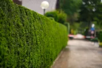 AJ Jardin à La Mézière