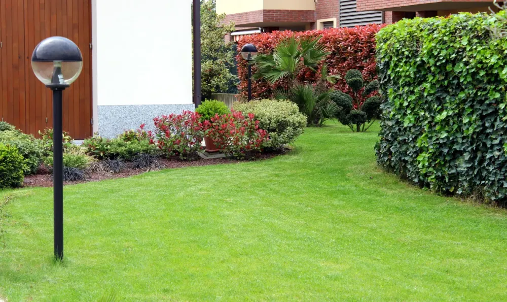 Création jardin à La Mézière